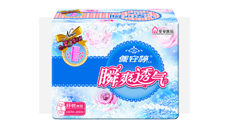 瞬爽透氣直條包20片日夜舒棉組合裝PT04205 瞬爽透氣直條包20片日夜舒棉組合裝PT04205