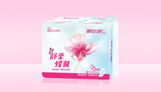 舒柔蝶翼10片日用棉面衛(wèi)生巾PJ01073 舒柔蝶翼10片日用棉面衛(wèi)生巾PJ01073